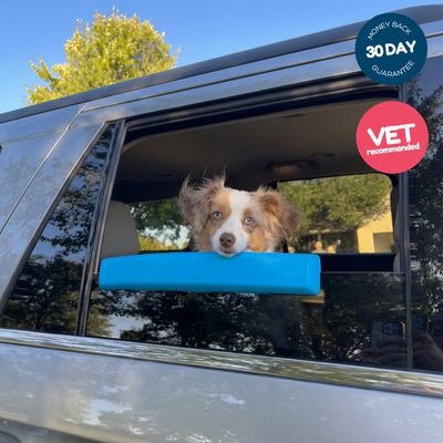 Pup Window Pillow