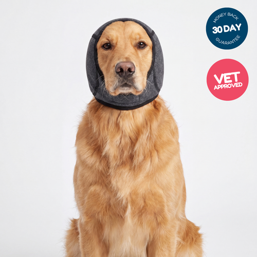 QuickCalm - Noise Cancelling Earwrap