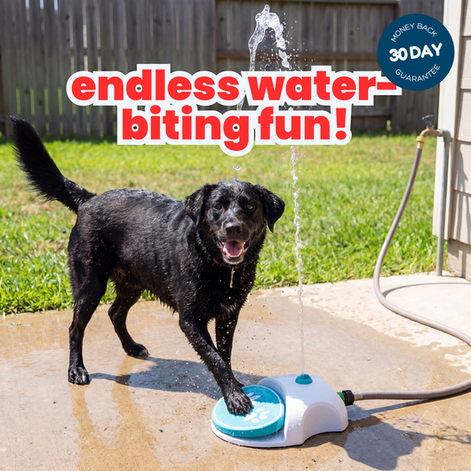 PupPedal - Play fountain for dogs