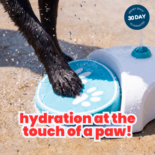 PupPedal - Play fountain for dogs