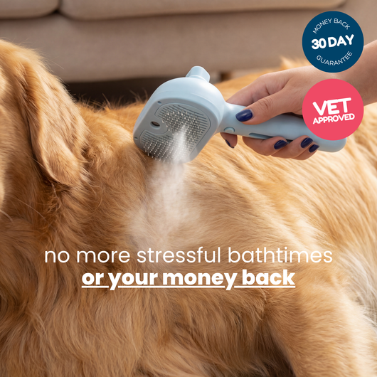 BathBrush