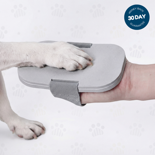 Handheld scratch pad