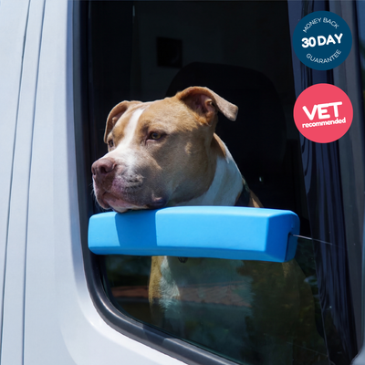 Pup Window Pillow