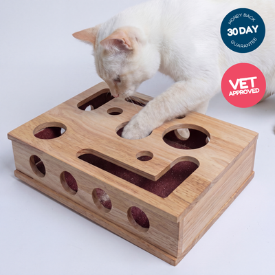 Playclaws - claw filing box