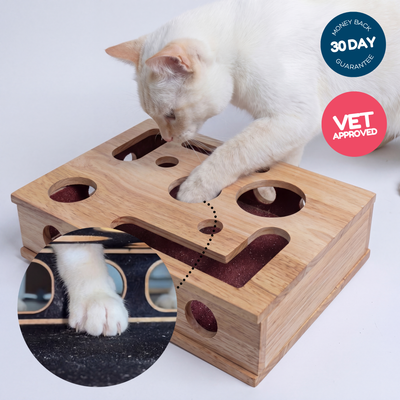 Playclaws - claw filing box