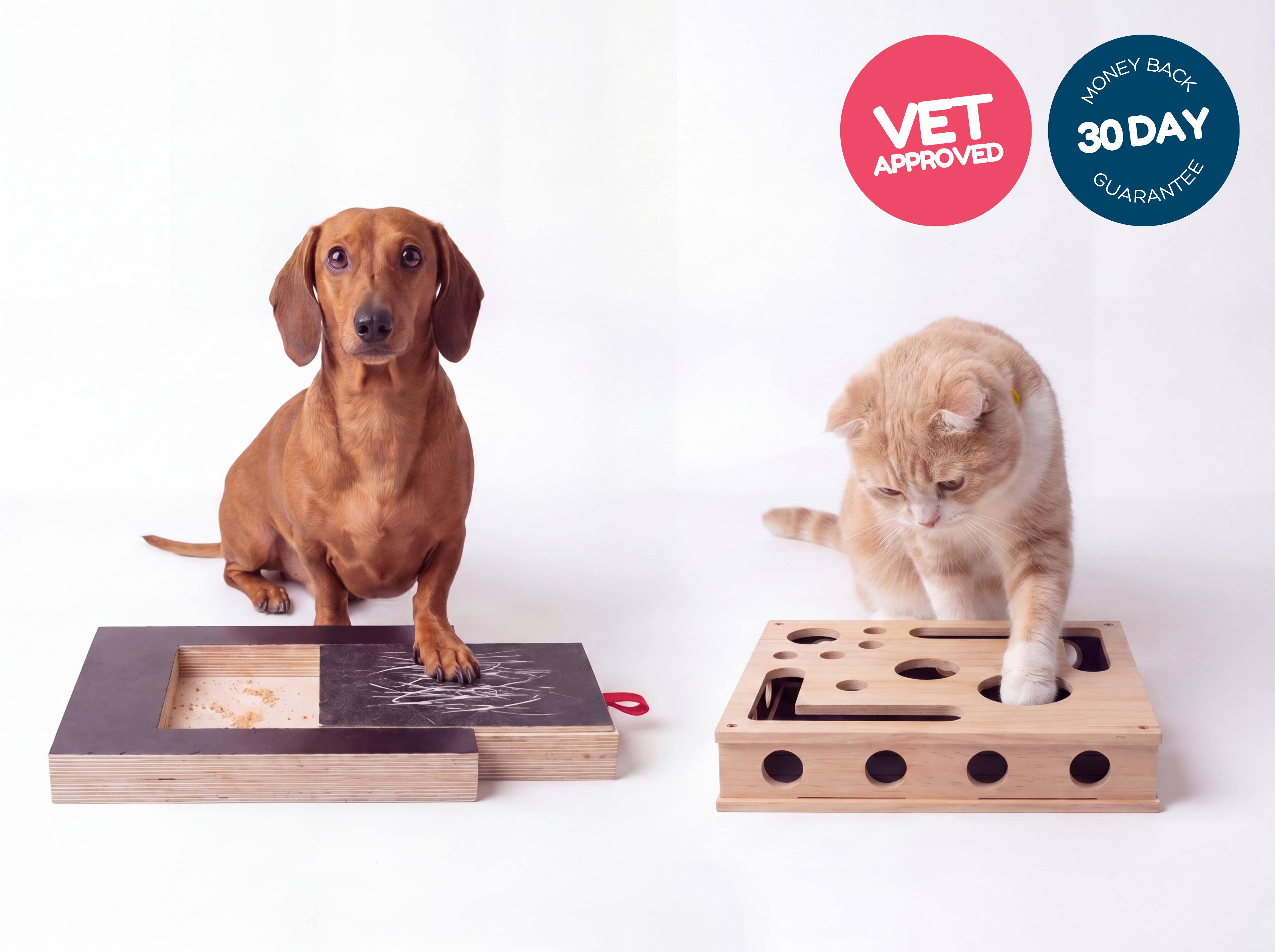 Turn stressful nail trimming into <em>playtime with treats!</em>