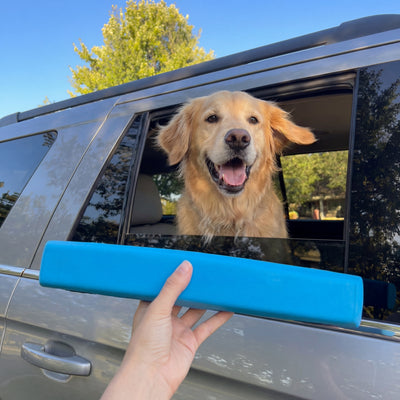 Pup Window Pillow
