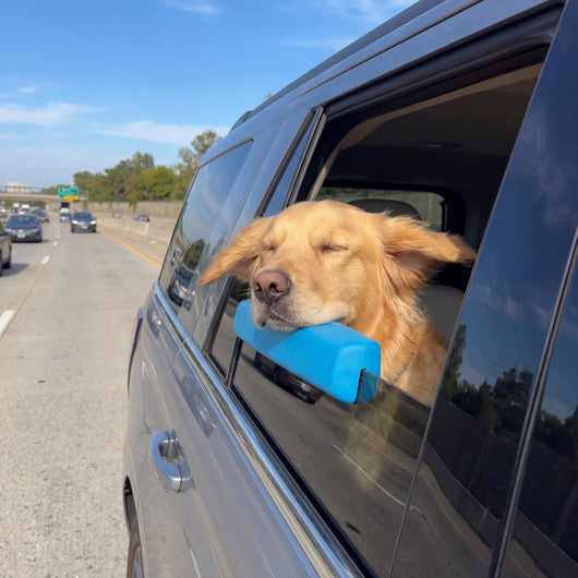 Pup Window Pillow